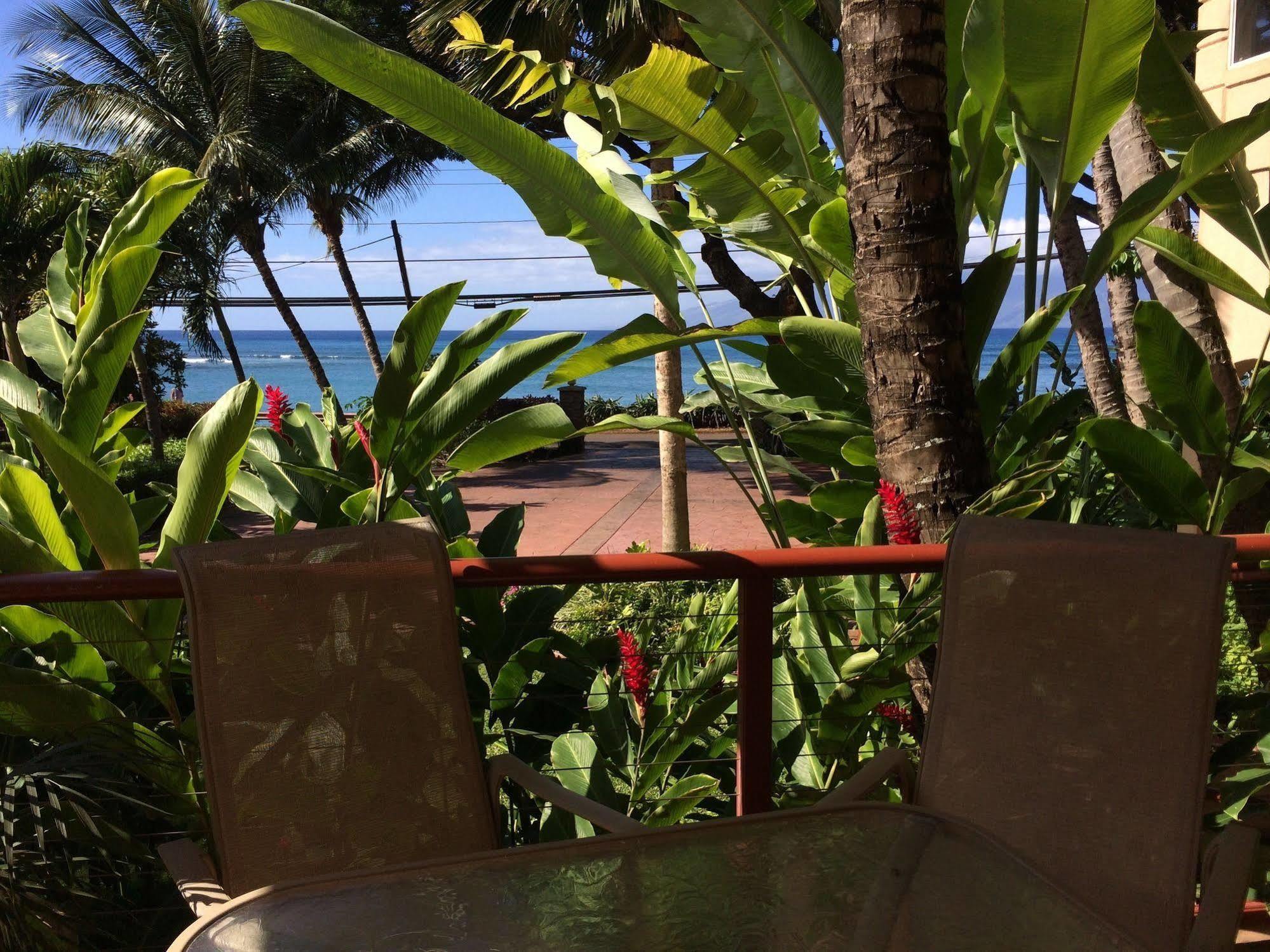 Maui Beach House B & B Kahana Exteriör bild