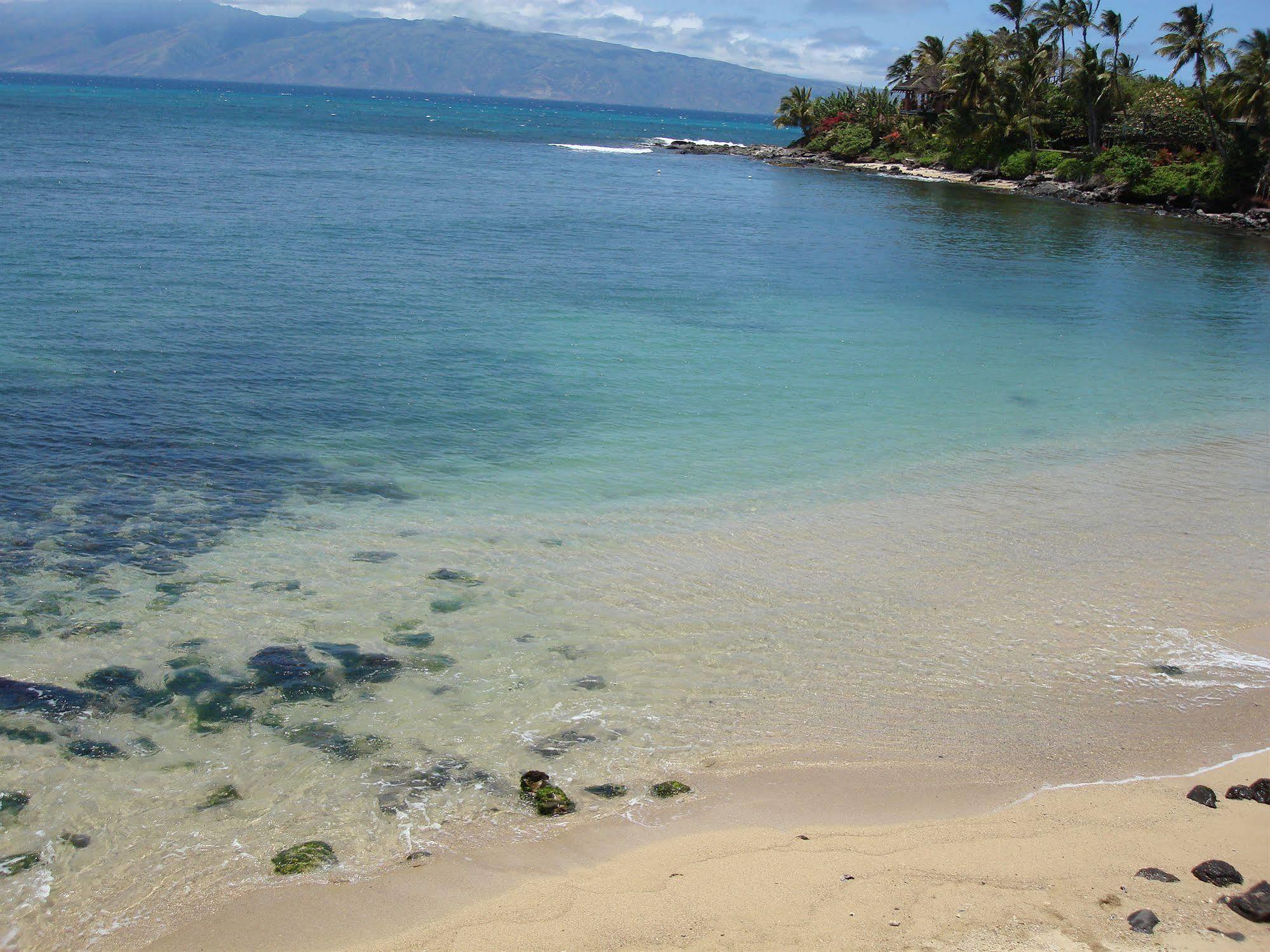 Maui Beach House B & B Kahana Exteriör bild